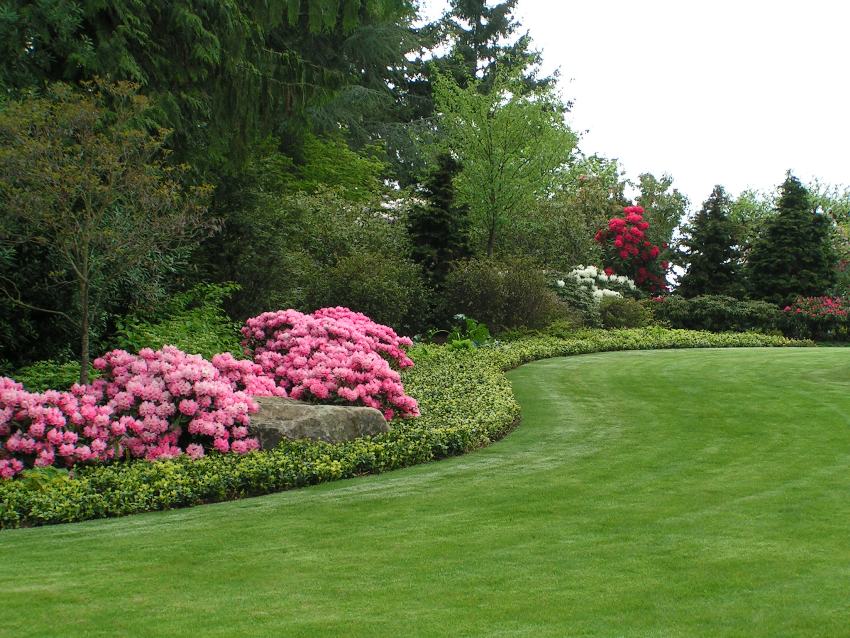 Gig Harbor Home Landscaping Contractor