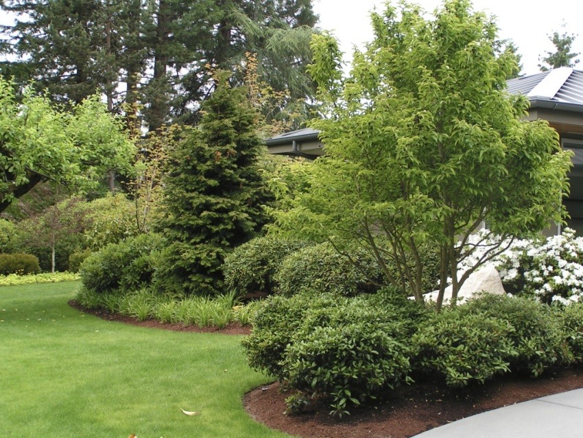 Gig Harbor Home Landscaping Contractor