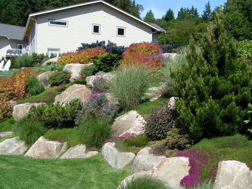 Rockery Boulder Steps with Ground Cover