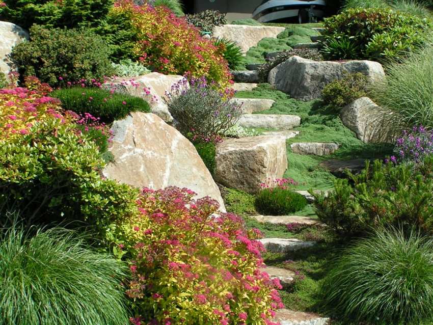 Rockery Boulder Steps with Ground Cover