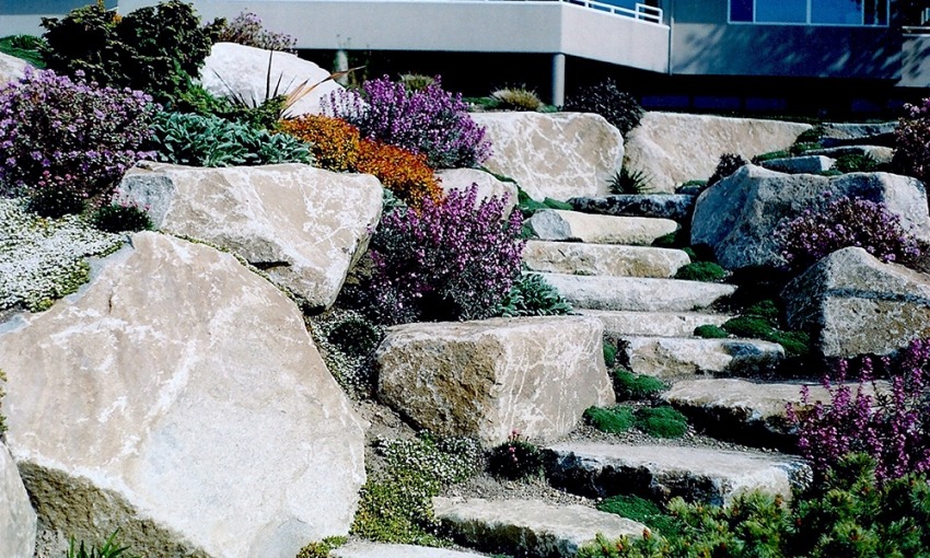Stone Slab Steps and Boulders in Rockery Garden