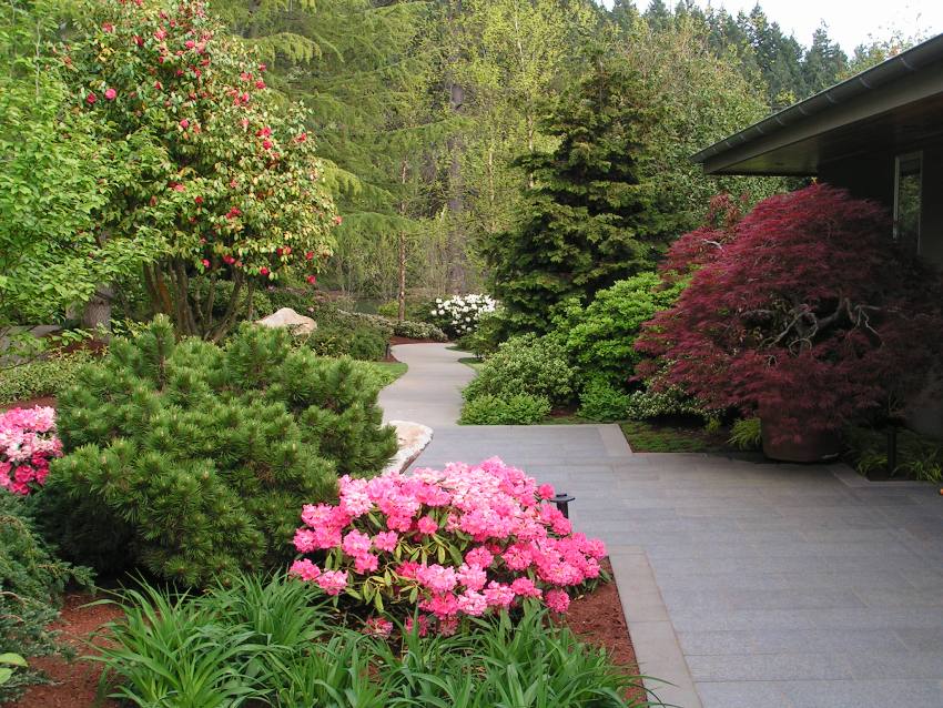 Rhododendron Garden Patio