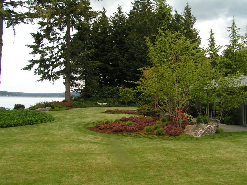 Rhododendron Garden Landscaping Design