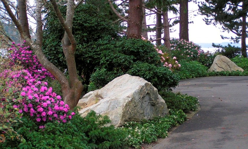 Landscape Planting Project in Gig Harbor, WA