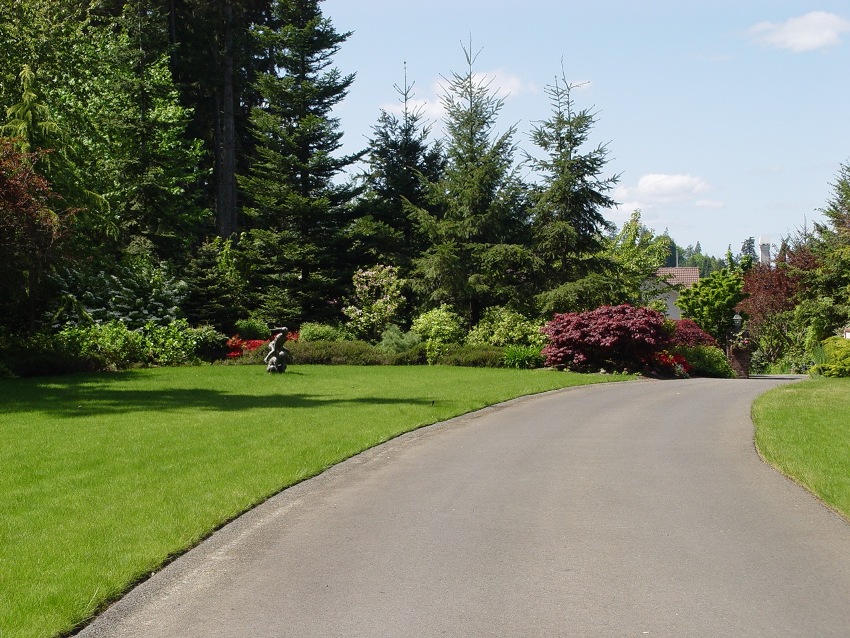 Landscape Plantings Rosedale Residential Home