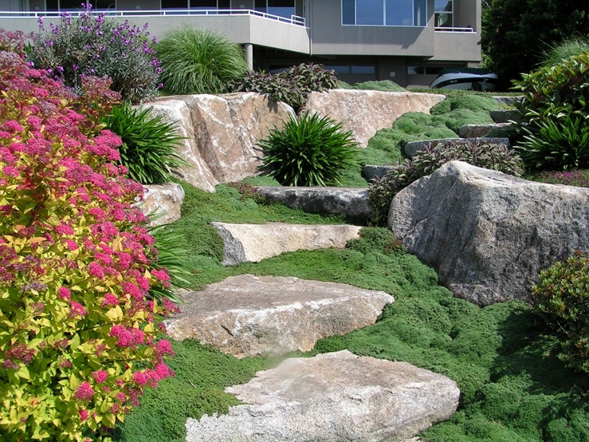 Rockery Boulder Steps with Ground Cover