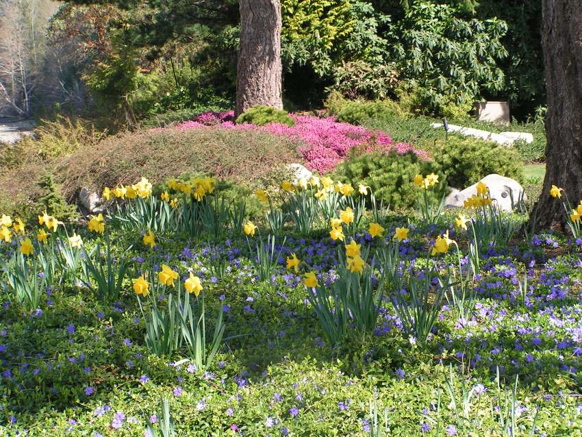 Landscaping Boulders In The Garden