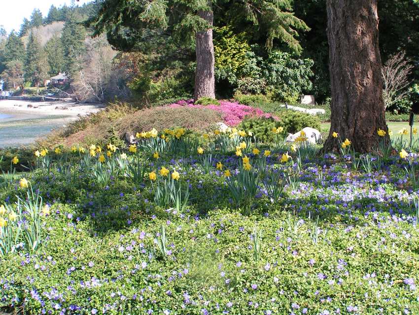 Landscaping Boulders In The Garden