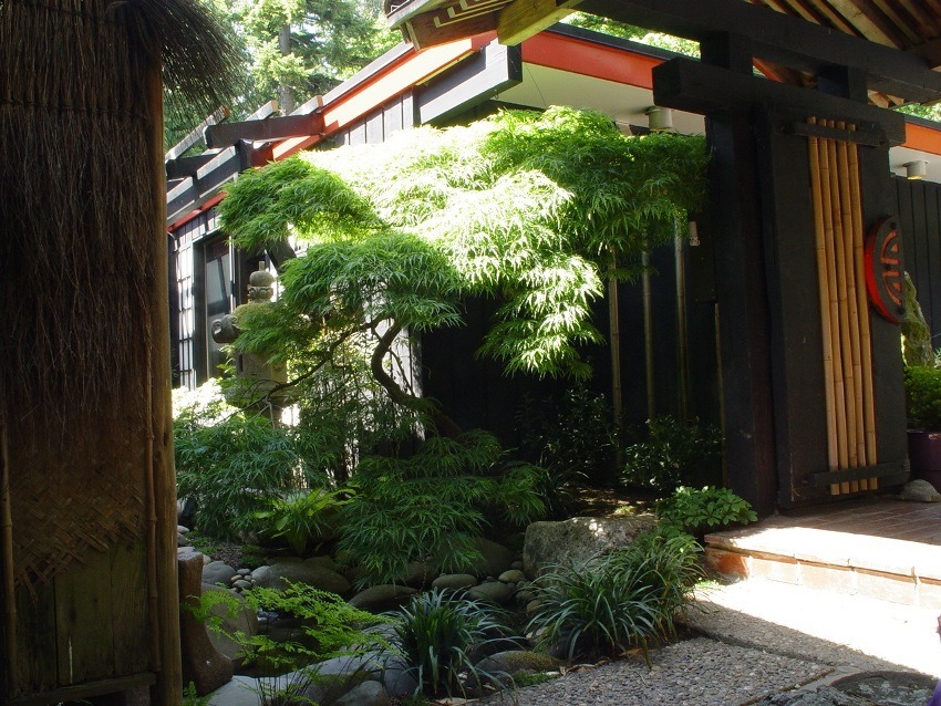 Japanese Garden Water Feature