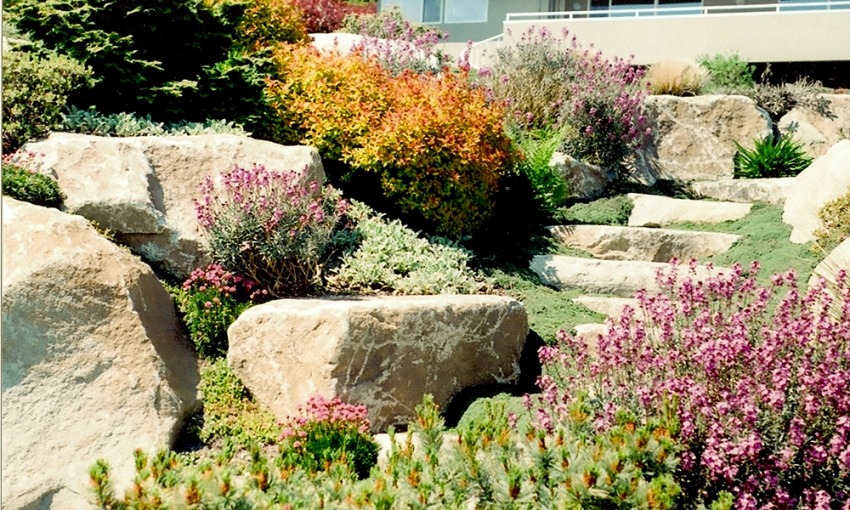 Natural Stone Steps Featured in Rockery Garden