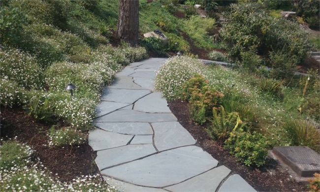 Flagstone Steps and Pathways