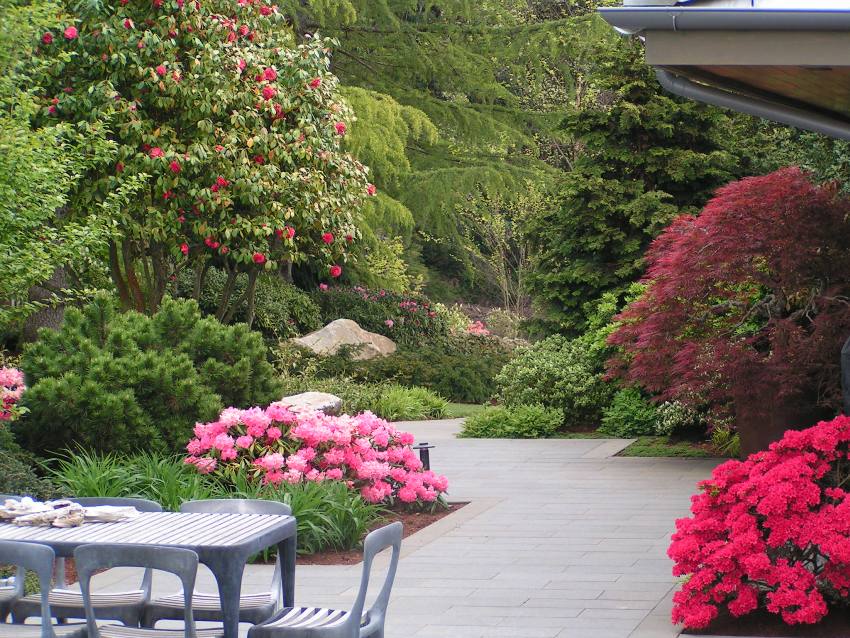 Rhododendron Garden Patio