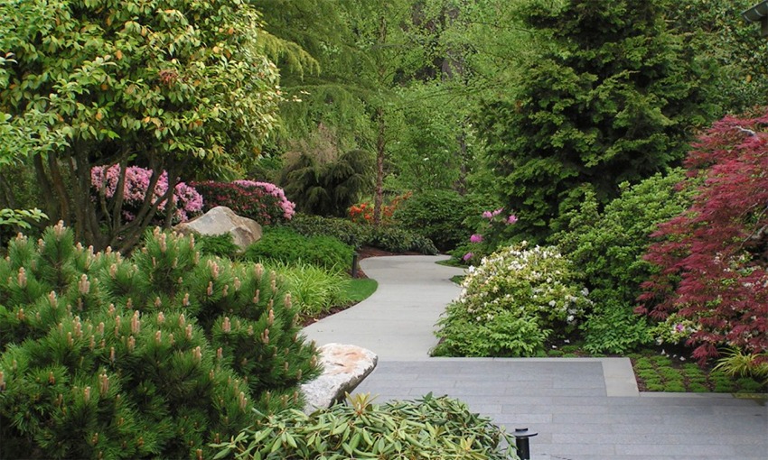 Rhododendron Garden Patio